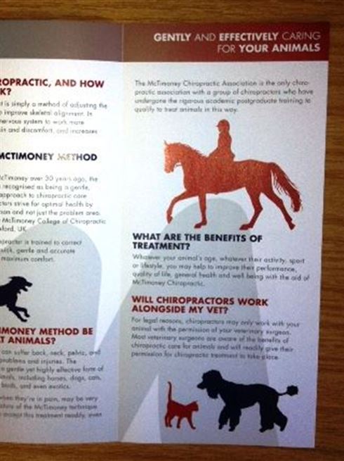 Gently & Effectively Caring for Your Animals - Information Leaflet