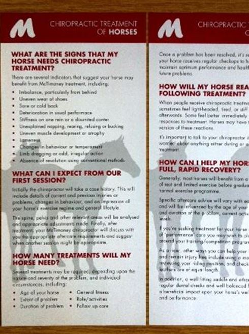 Animal Information Leaflet - Horse Insert